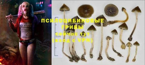 прущая мука Заволжье