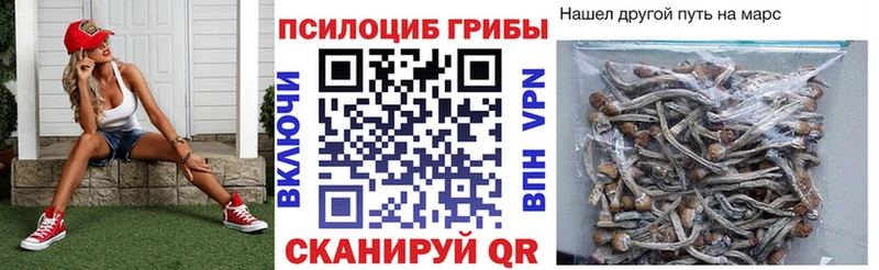 Псилоцибиновые грибы MAGIC MUSHROOMS  Купить закладки  Плавск 
